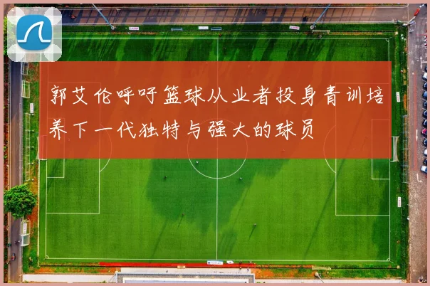 郭艾伦呼吁篮球从业者投身青训培养下一代独特与强大的球员